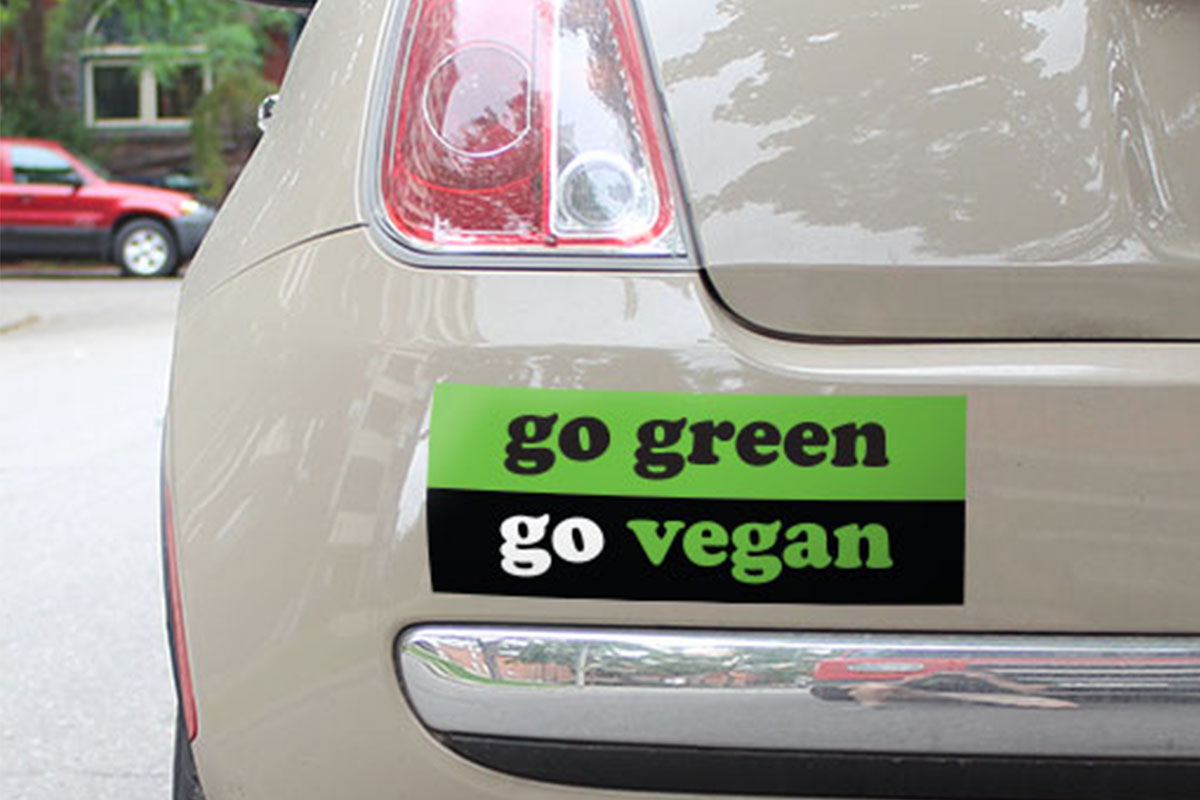 Custom Bumper Stickers printing PK Custom Bumper Stickers printing PK